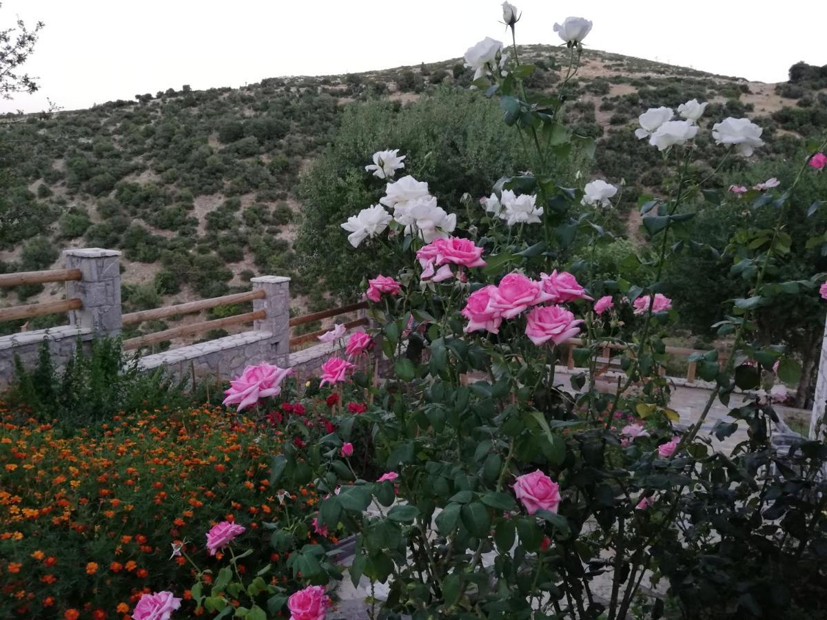 Villa Agno - Βίλα Αγνώ Ano Karies Bagian luar foto